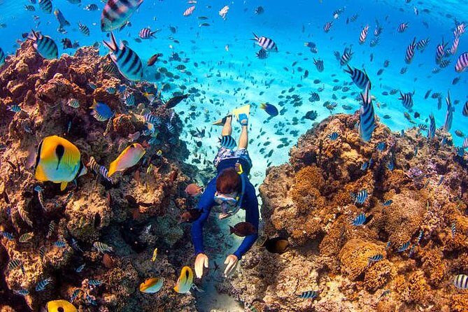 LUXURY Catamaran Bora Bora : Sailing, Snorkeling & Floating Bar - Frequently Asked Questions