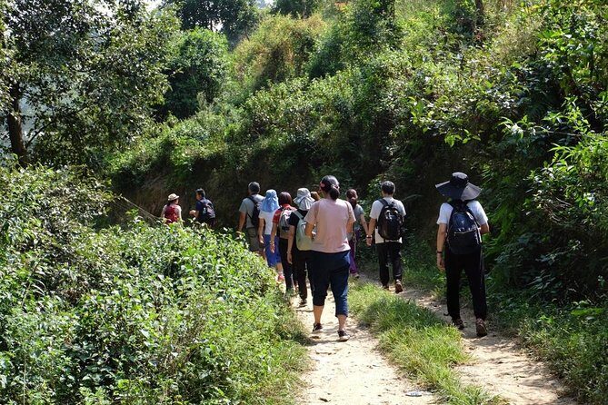Luxury Changu Nagarkot Hike with Overnight Stay & Bhaktapur Tour - Why This Tour Offers Great Value