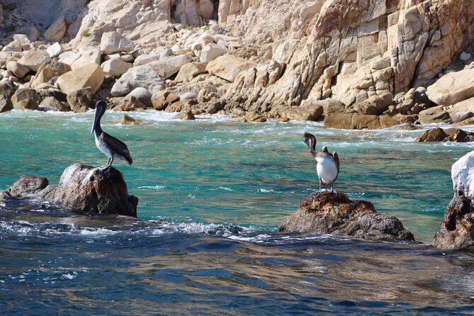 Luxury Cruise with Dinner and Music in Los Cabos - Final Thoughts