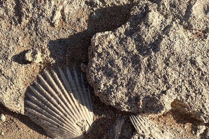 Luxury Desert Safari Tour, Morning & Afternoon from Hurghada - Who Should Consider This Tour?