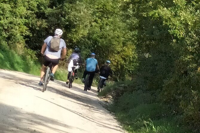 Luxury Eno and Oil experience, by e-bike and more... - Authentic Insights from Participants