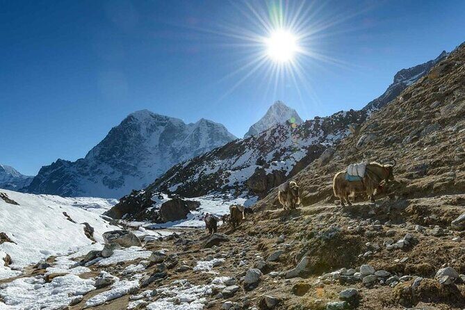 Luxury Everest Base Camp Trek - Detailed Breakdown of the Itinerary