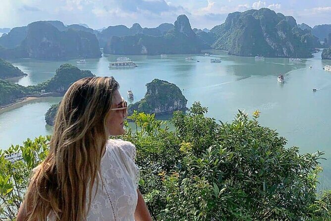 Luxury Halong Day Tour From Hanoi - An Exhaustive Look at the Tour Experience