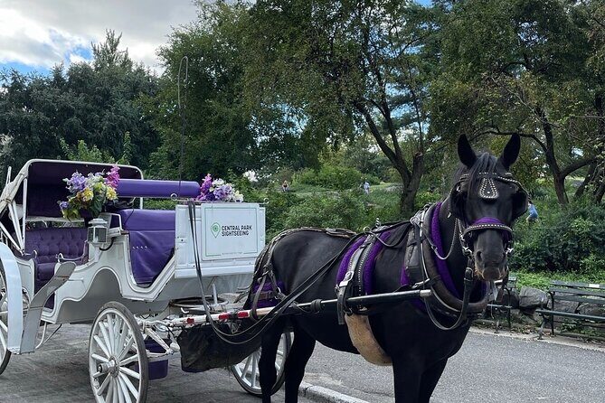 Luxury Horse and Carriage Tours in Central Park - Key Points