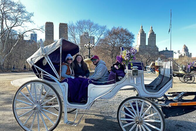 Luxury Horse and Carriage Tours in Central Park - Who Will Love This Tour?