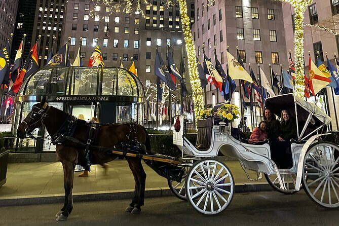 Luxury Horse and Carriage Tours in Central Park - FAQ