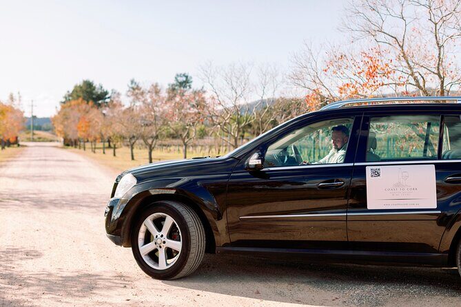 Luxury Hunter Valley Tour: 3 Tastings, Gin, Lunch & Chocolatier - Setting the Scene: An Overview of the Experience