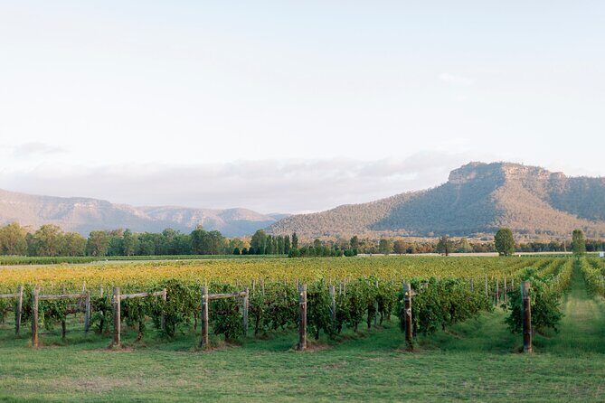 Luxury Hunter Valley Wine Tour with Fine Dining - An In-Depth Look at the Experience