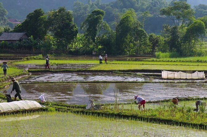 Luxury Mai Chau Day Trip Discover Hidden Gem & Stunning Cave - Who Would Love This Tour?