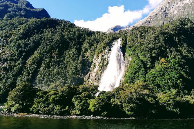 Luxury Milford Sound Coach and Scenic Cruise - FAQ