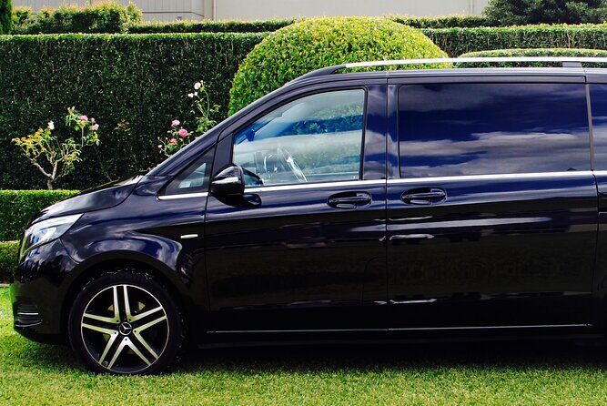 Luxury Mini Bus - Sydney Airport Transfers - Authentic Experiences from Travelers