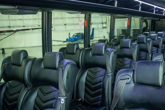 Luxury Minibus Chicago City Tour - Who Will Love This Tour?