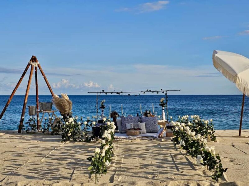 Luxury oceanfront picnic in Los Cabos - The Experience: A Deep Dive