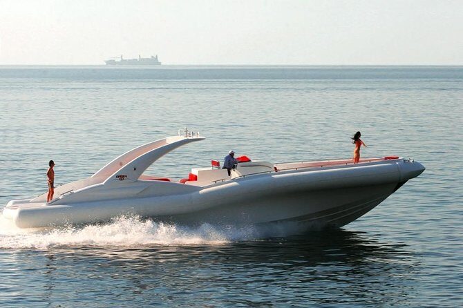 Luxury Opera 60 Whale & Dolphin Watching Experience - Final thoughts