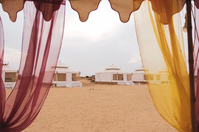 Luxury Overnight Camping Jaisalmer - What Makes This Tour Stand Out?