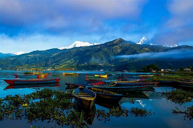 Luxury Package Tour above 50 Years -7 Days - Who This Tour Suits Best