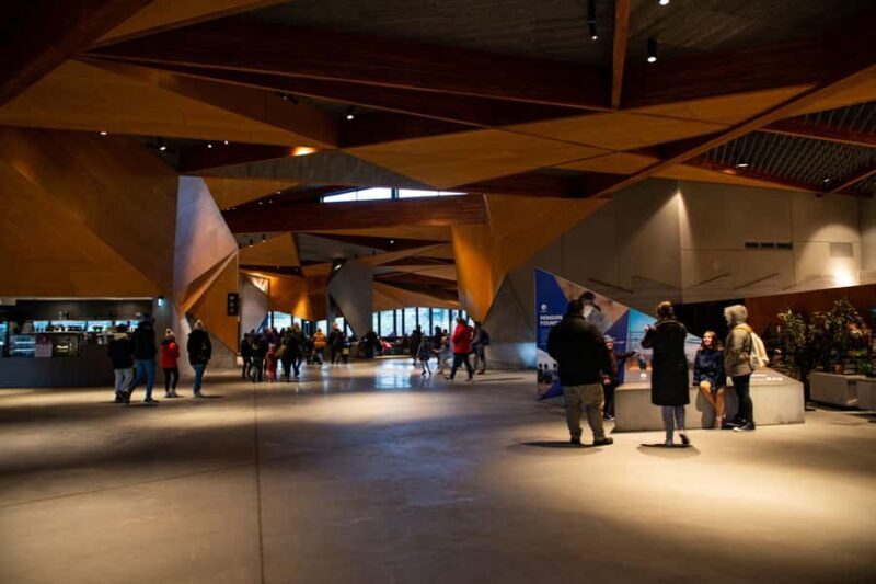 Luxury Phillip Island Tour for Families & Explorers 10 Max - Setting the Scene: A Day of Contrasts and Wonders