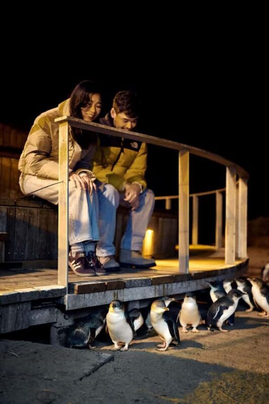 Luxury Phillip Island Tour for Families & Explorers 10 Max - Return Journey and Reflection