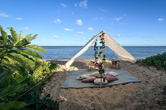 Luxury Picnic in Honolulu with Ocean & Crater Views - Key Points