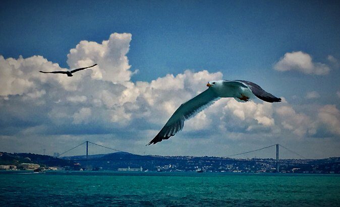 Luxury Private and Guided Istanbul Food Tour with a local guide - Who Is This Tour Best For?