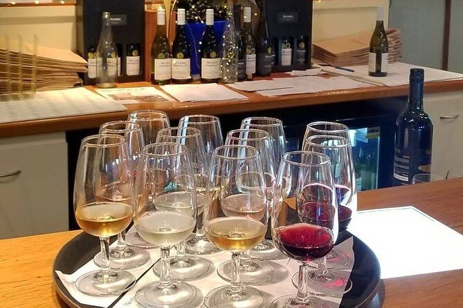 Luxury Private Auckland Wine & Beach Tour with Lunch - A Detailed Look at the Tour