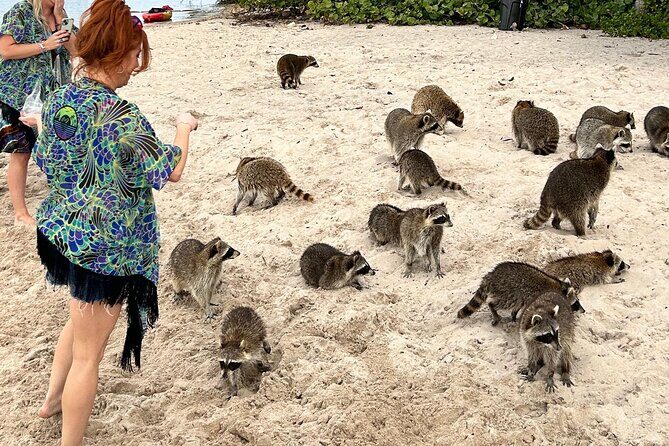 Luxury Private Boat Tour from Miami Beach - Exploring the Luxury Private Boat Tour from Miami Beach