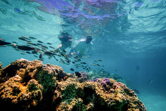 LUXURY PRIVATE Catamaran Bora Bora : Full-Day Trip - The Practical Side: Logistics and Tips