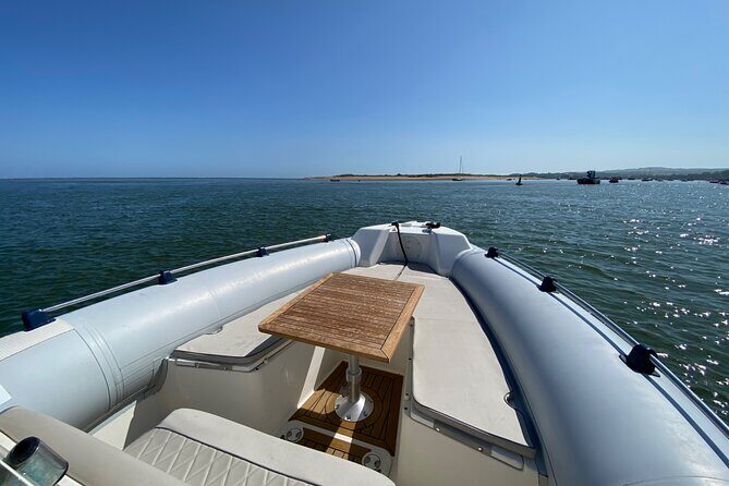 Luxury Private Rib Tour to Babbacombe Bay from Exmouth Marina - Who Will Love This Tour?