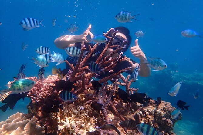 Luxury Private Speed Boat Charter with Coral Delight - A Deep Dive into the Experience