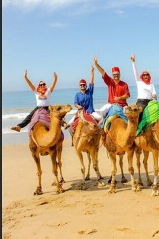 Luxury Private Tangier Tour from Cadiz all inclusive - Cultural and Culinary Delights