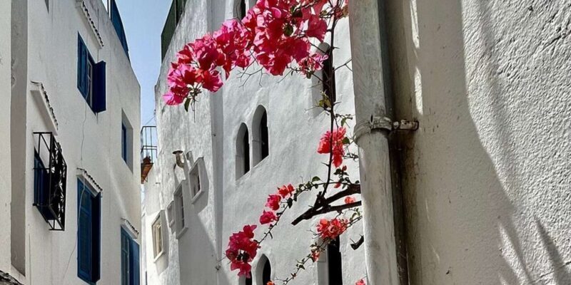 Luxury Private Tangier Tour from Marbella all inclusive - Who is this tour best suited for?