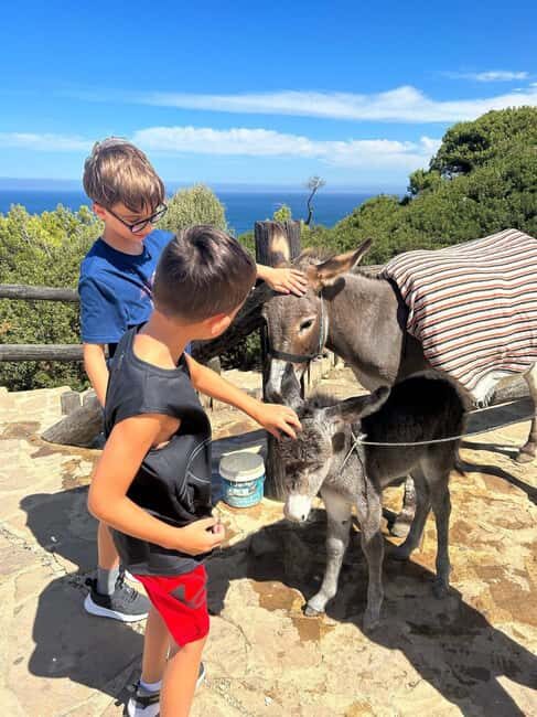 Luxury Private Tangier Tour from Marbella all inclusive - The Sum Up