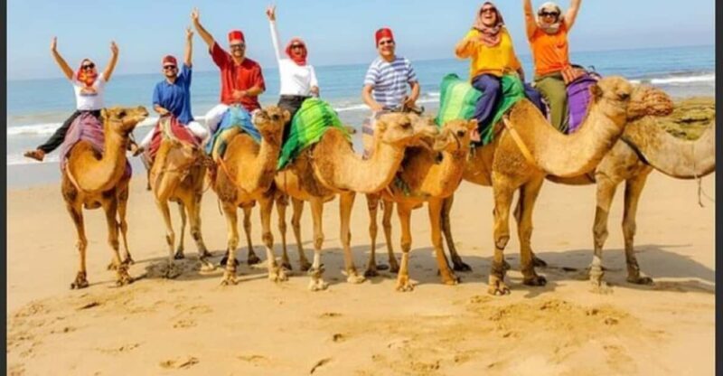 Luxury Private Tangier Tour from Marbella all inclusive - FAQ