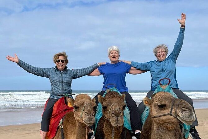 Luxury Private Tour of Tangier from Gibraltar All Inclusive - The Sum Up: Who Will Love This Tour?