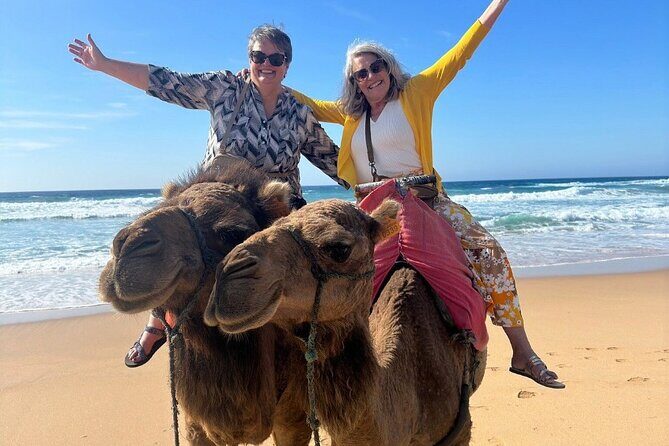 Luxury Private Tour of Tangier from Marbella All Inclusive - Returning to Marbella: Crossings and Final Drop-offs