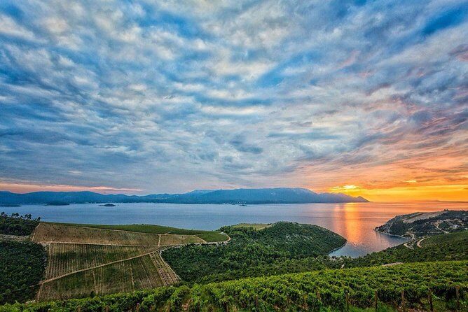 Luxury Private Transfer Dubrovnik - Split with lunch in Ston - Key Points