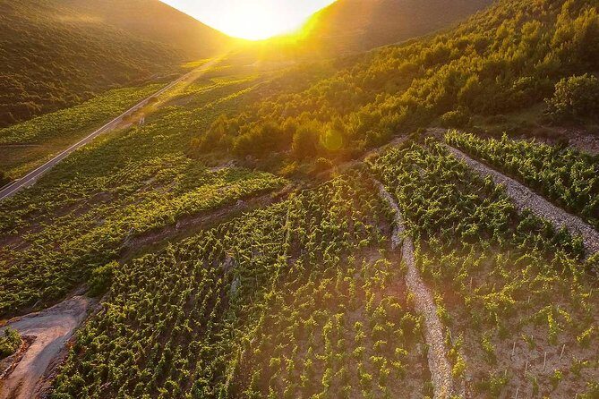 Luxury private transfer Split - Dubrovnik with lunch in Ston - Key Points