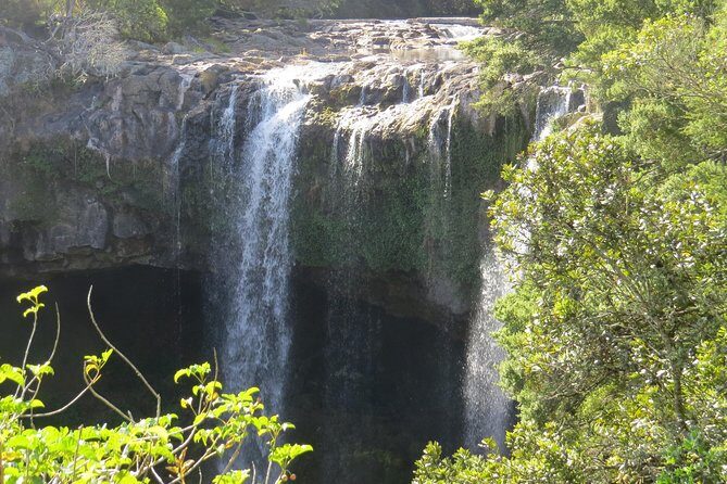 Luxury Private Transfers: Auckland Airport to City - The Experience in Detail