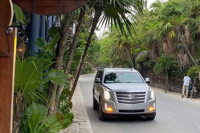 Luxury Private Transportation Cancun Airport to Tulum Hotel Zone - A Closer Look at the Experience