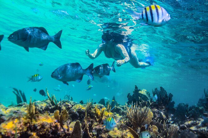 Luxury Sailing and Snorkeling Tour in Riviera Maya - FAQ