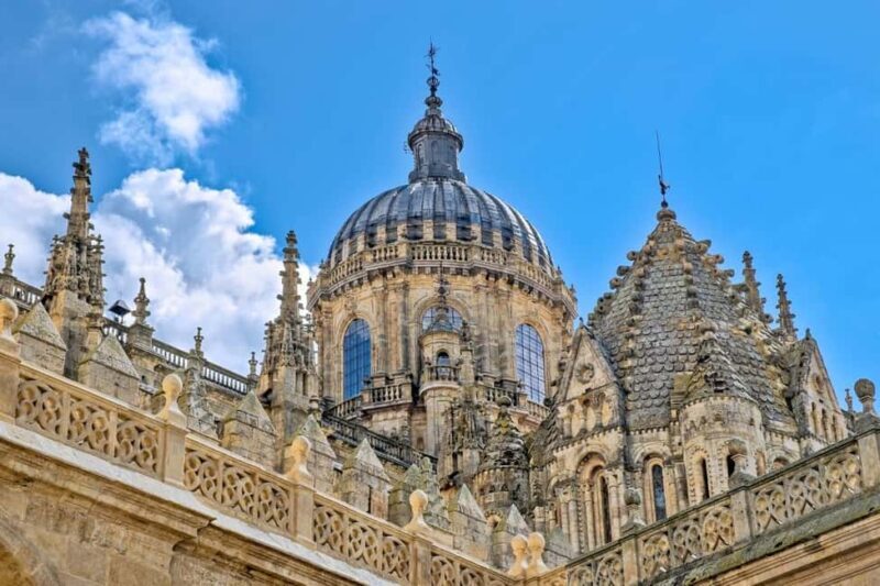 Luxury Salamanca & Iberian Ham Tour from Madrid - Key Points