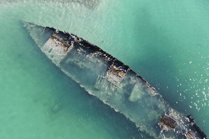 Luxury Sandbar and Snorkeling trip in Key West - A Closer Look at the Experience