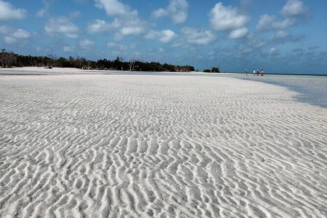 Luxury Sandbar and Snorkeling trip in Key West - Authentic Voices and Real Experiences