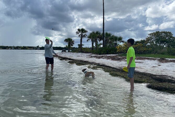 Luxury Single Kayak Tour To An Island Off Clearwater Beach! - What to Expect from the Kayak Tour
