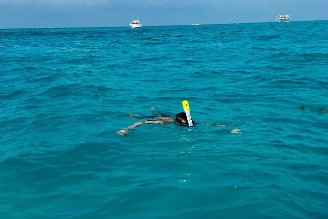 Luxury Snorkeling Excursion in Cancun  MasterCraft X-Star 2hr - FAQ