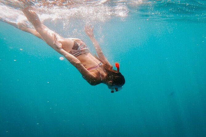 Luxury Snorkeling Tour in Cabo San Lucas - Final thoughts