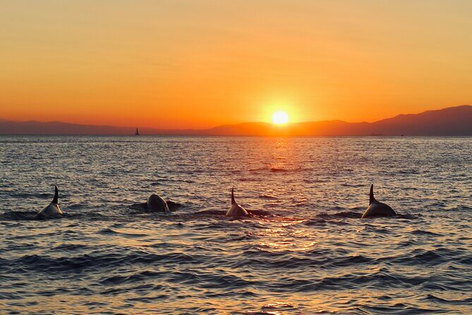 Luxury Sunset Cruise with Aperitif - FAQ