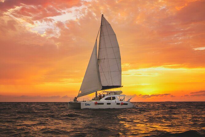 Luxury Sunset Sailing Cruise in Cancun with Light Dinner and Open Bar - Practical Tips for Your Sunset Sailing Adventure