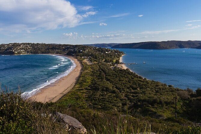 Luxury Sydney Tour - What Travelers Say: Authentic Insights