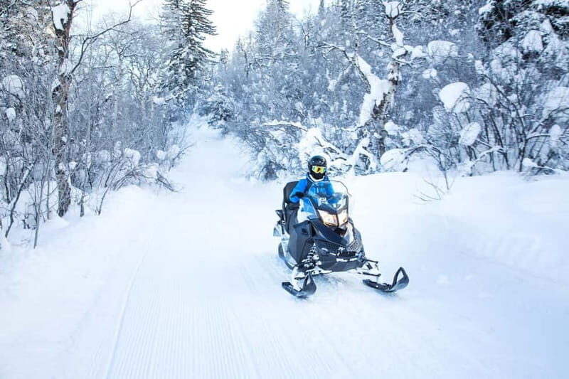 Luxury Tour Andorra with snow driving course from Barcelona - Who Should Book This Tour?